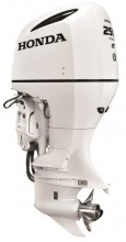 Honda 250HP BF250DXCRA WT