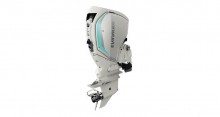 2020 Evinrude E TEC G2 Engines 175 HP C175WLF