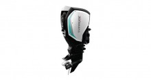 2019 Evinrude E TEC G2 Engines 175 HP C175FX