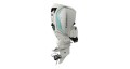 2020 Evinrude E TEC G2 Engines 175 HP C175WXF