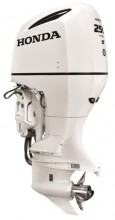 Honda 250HP BF250DUCRA WT