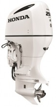 Honda 250HP iST BF250DXDA WT