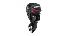 2019 Evinrude E TEC Pontoon Series 115 HP E115GNL Graphite